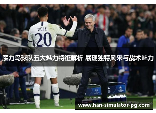魔力鸟球队五大魅力特征解析 展现独特风采与战术魅力