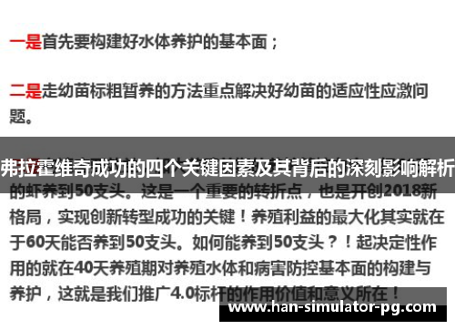 弗拉霍维奇成功的四个关键因素及其背后的深刻影响解析